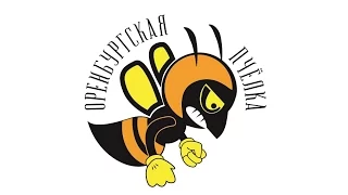 "Оренбургская пчелка" Выпуск 4. Фестиваль РООЛ 2017