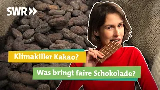 Kakao und Schokolade: Fairtrade oder bio. Nur teuer oder wirklich nachhaltig? I Ökochecker SWR