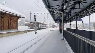 Ge 4/4 I 610 Viamala Fährt mit Ihrem Güterzug durch Bever durch. "Albulalinie"