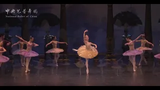 Отрывок из балета «Баядерка»|CCTV Русский