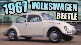 1967 VW Beetle last year of the rounded bumpers
