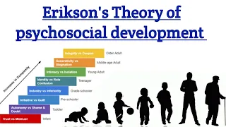 Erikson's theory of Psychosocial Development, psychology, 8 stages of psychosocial theory in hindi