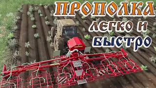 БОРЬБА С СОРНЯКАМИ! ЛЕГКАЯ ПРОПОЛКА! [FARMING SIMULATOR 2019 #3]