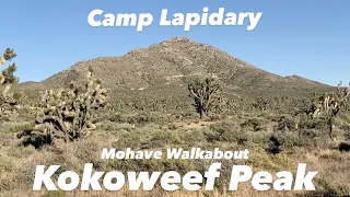 Mojave Walkabout, Kokoweef, Part 1