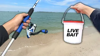 Fishing the BEACH with LIVE BAIT for Whatever Bites!