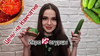 🤯Цены на Камчатке шокируют.. Что же выбрать? #камчатка