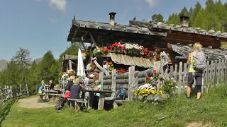 Riemerberg Alm -Val d'Ultimo