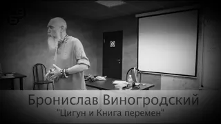 Цигун и Книга Перемен. Бронислав Брониславович Виногродский. #2