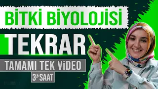 13) Bitki Biyolojisi FULL TEKRAR | 12. Sınıf Biyoloji | AYT Biyoloji Konu Anlatımı 13