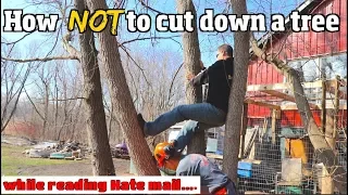 How NOT to cut down a tree -6 common Mistakes