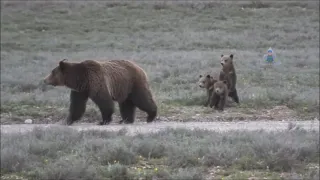 Обучающее видео "Животный мир Иркутской области"