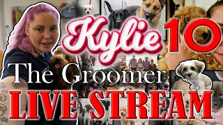 Kylie the Groomer Live stream 10.