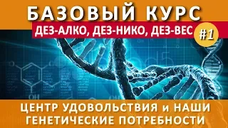 #1. Центр удовольствия и наши генетические потребности