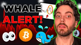 Bitcoin Whales SUPPRESSING Price! (Not The Coin You Think)