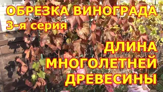 ч 3. ЧаВо. ОБРЕЗКА ВИНОГРАДА. МНОГОЛЕТНЯЯ ДРЕВЕСИНА: ПОЛЬЗА И ВРЕД. ЧАСТЫЕ ВОПРОСЫ. 3 я серия