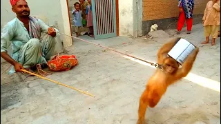 Bandar Aur Bakri Ka Khel madari of punjab - Funny Video