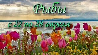 Рыбы Таро прогноз на неделю с 22 по 28 апреля 2024 года.