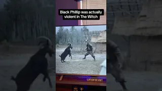 Black Philip was violent filming The Witch