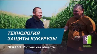 Технология защиты кукурузы DEKALB