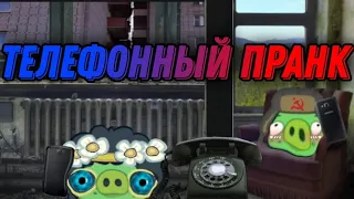 "Телефонный пранк" в Bad Piggies