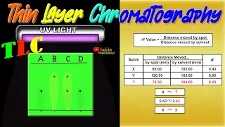 The principle and how to work thin layer chromatography (TLC) animation