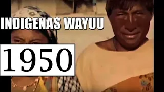 1950 INDIGENAS WAYUU