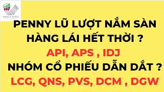 NHẬN ĐỊNH THỊ TRƯỜNG CK NGÀY 20/6|KẾT THÚC SÓNG PENNY,HÀNG LÁI API, IDJ, APS SÀN|KIẾM TIỀN BỀN VỮNG