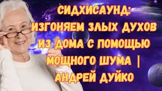 Сидхисаунд: изгоняем злых духов из дома с помощью мощного шума | Андрей Дуйко