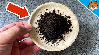 You'll NEVER throw away Coffee Grounds again after seeing THIS 💥 (8 SECRET Tricks) 🤯