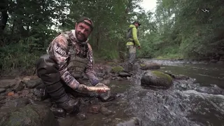 Дикий ручей. Анонс. Канал Рыболов