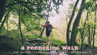 A Pondering Walk 🌿 (Vlog.11)