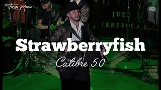 Calibre 50 - Strawberryfish (Letra 2021)