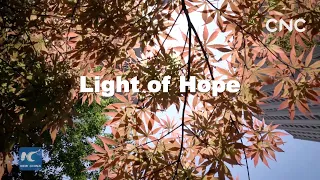Shanghai Anti-COVID Diary 15: Light of Hope