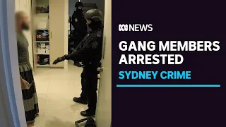 Sydney organised crime gang members arrested in raid blitz | ABC News