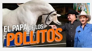 Chuy Lizarraga - Caballo El Molinete De Jimenez - El Vlog - Rancho Los Jimenez