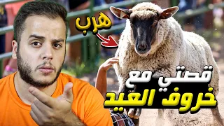 كيف هرب خروف العيد من بيتنا !😨🐏- قصص الطفولة