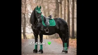 Вальтрапы моя мания#конники#конныймир#рек#тренд#лошади#тренды#equestrian#horse#тикток#рекомендации