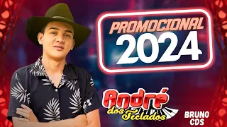 ANDRÉ DOS TECLADOS 2.0 - CD 2024 / MÚSICAS NOVAS