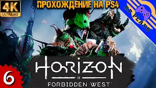 ПРОХОЖДЕНИЕ HORIZON FORBIDDEN WEST [4K PS4] ➤ Первое прохождение ➤ СТРИМ 6
