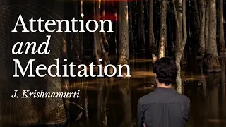 J. Krishnamurti: Attention and Meditation