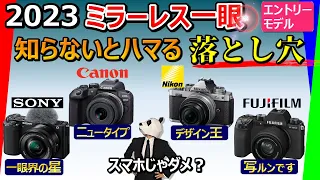 [Mirrorless camera 2023 recommended]  [SONY, Canon, Nikon, FUJIFILM]