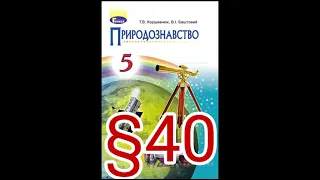 40 "НАЗЕМНО-ПОВІТРЯНЕ СЕРЕДОВИЩЕ ТА ЙОГО МЕШКАНЦІ"//5 КЛАС ПРИРОДОЗНАВСТВО//КОРШЕВНЮК.