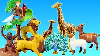 Playmobil City Life Toy Wild Animals Large Zoo Building Sets Videos