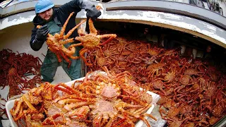 Amazing Catch Hundreds Tons Alaska King Crab on the Sea - Amazing Automatic Crab Processing Machines