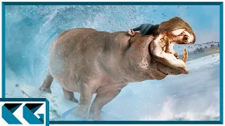 The Hippopotamus Defense is Going to Be Okay!