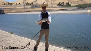 STRIPER FISHING CALIFORNIA AQUEDUCT