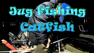 Jug Fishing Catfish