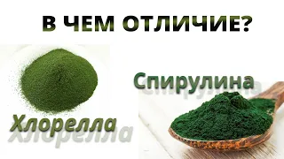 Спирулина и Хлорелла - в  чем отличия?