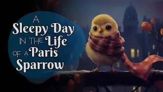 A Cute & Cozy Sleepy Story🐦A Sleepy Day in the Life of a Paris Sparrow | Storytelling and CALM Music