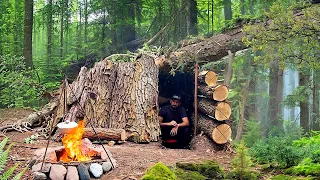 Building a shelter from tree bark